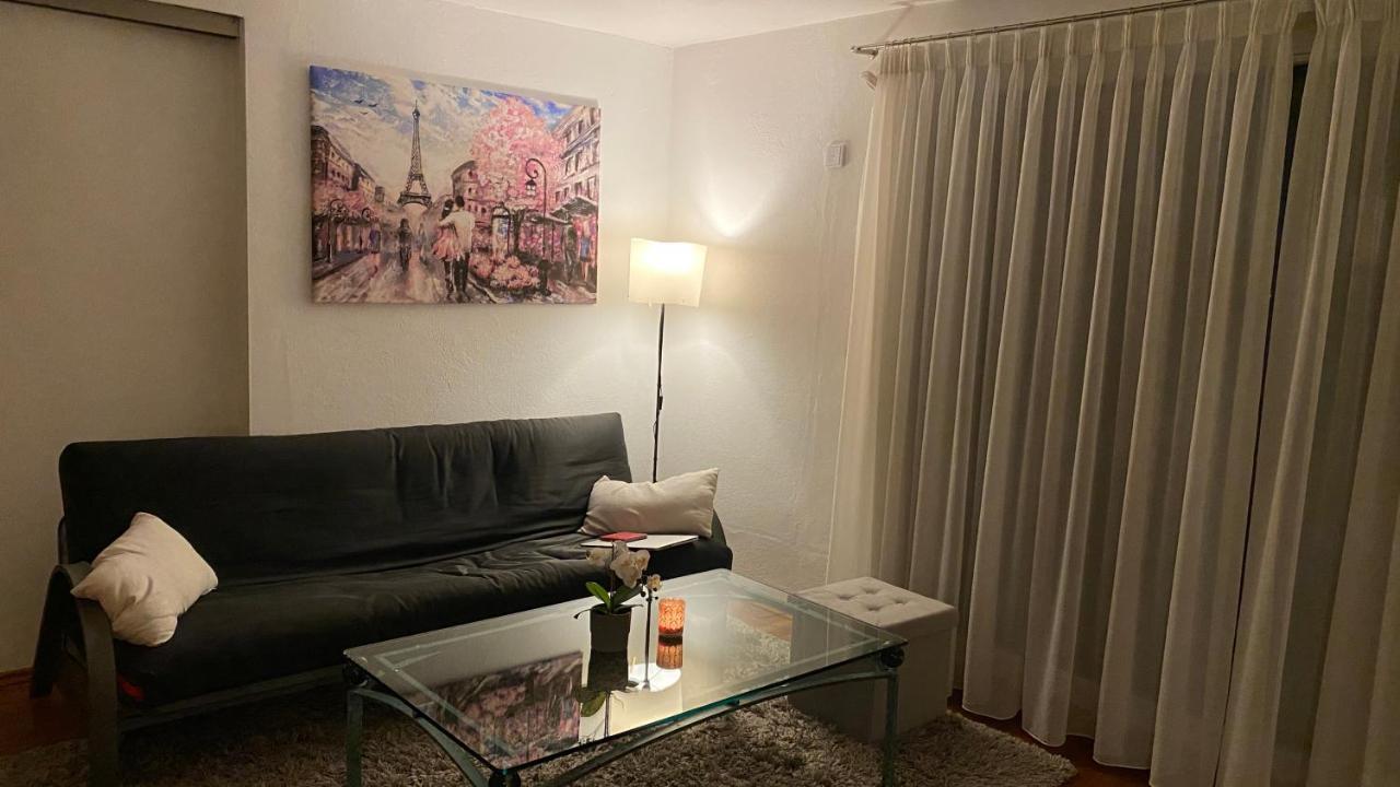 Apartment Luxus Im Eigenen Ferienhaus, 120 Qm, Naehe Regensburg Mit Balkon, Terrasse & Garten, Gute Zuganbindung Laber