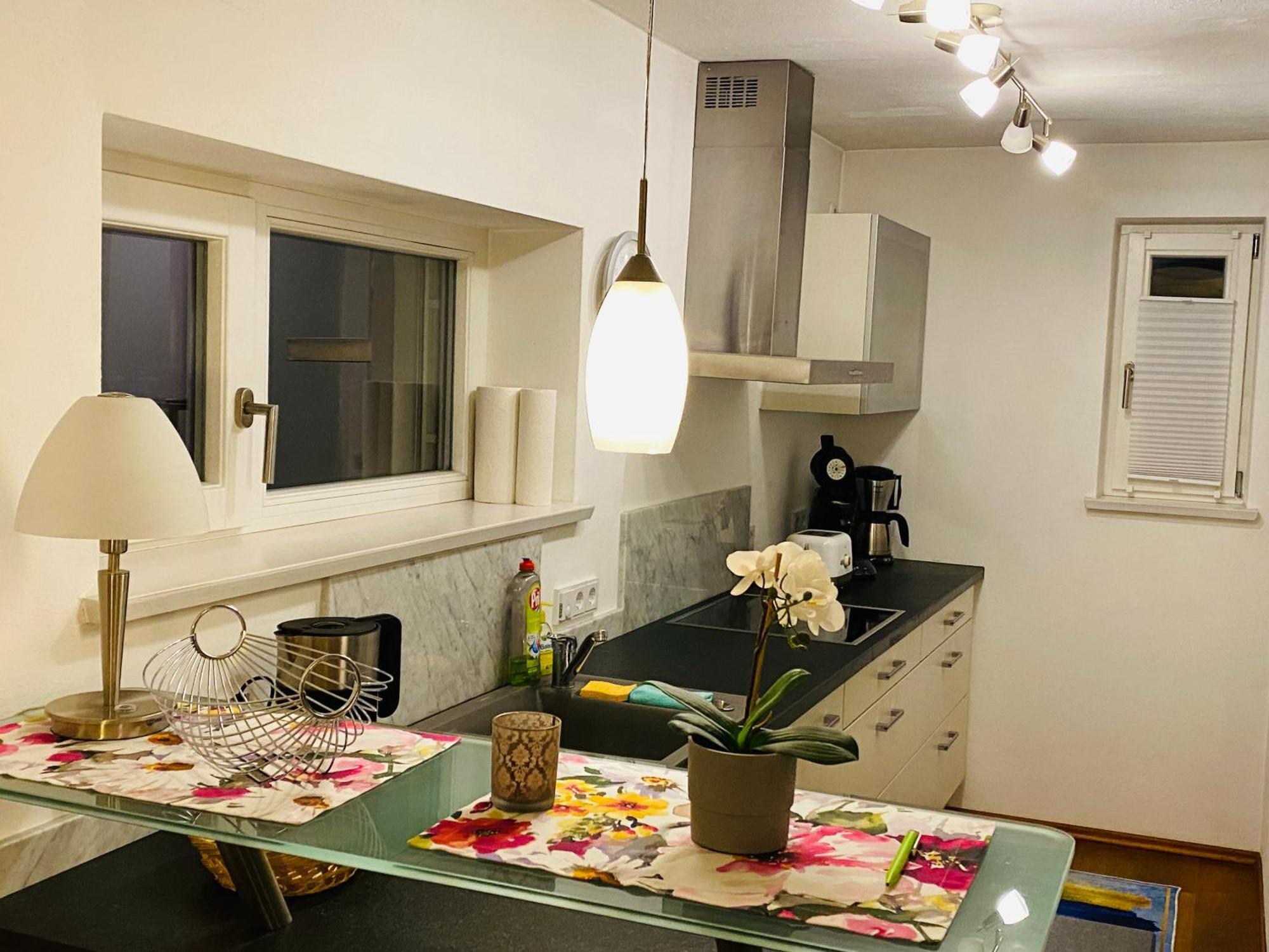 Apartment Luxus Im Eigenen Ferienhaus, 120 Qm, Naehe Regensburg Mit Balkon, Terrasse & Garten, Gute Zuganbindung